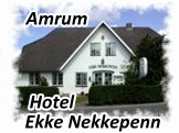Ekke Nekkepenn