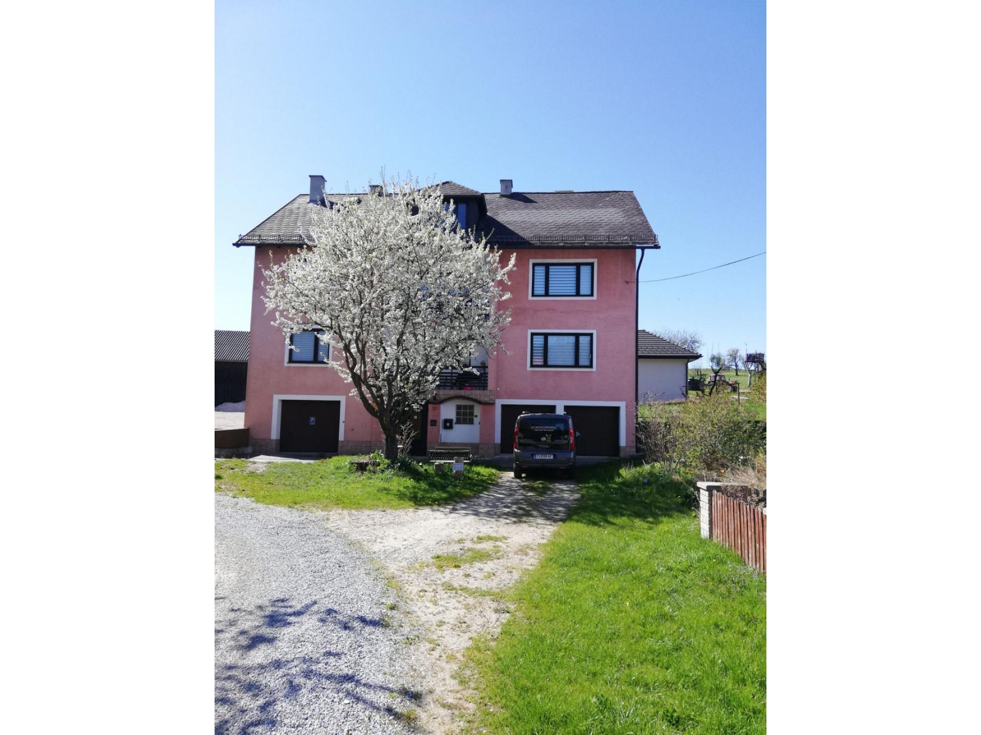 foto13