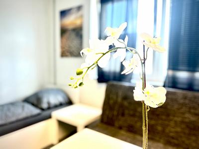 Charmantes Apartment 5<br> Glinde 21509 <br>Comfybeds - Loft Location