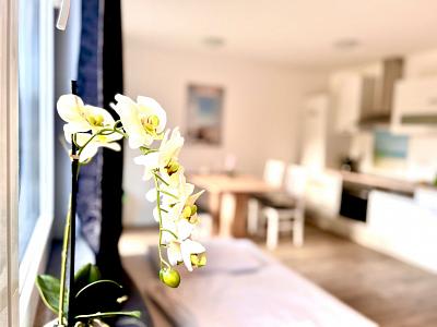 Apartment 12 <br> Geesthacht 21502 <br>Dat Witte Hus