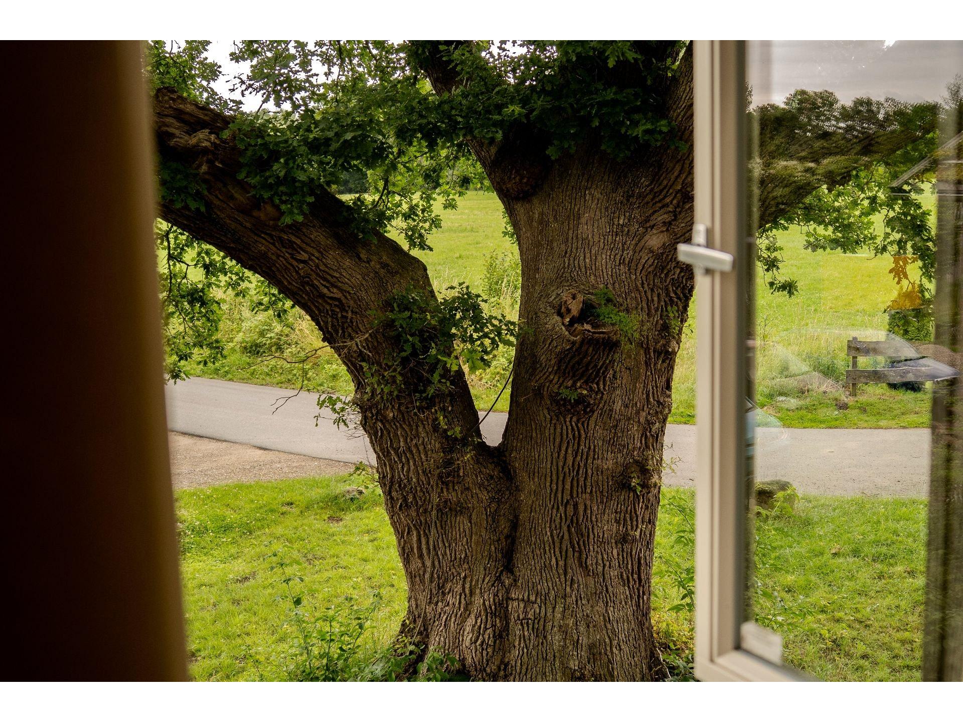 Blick aus dem Schlafzimme