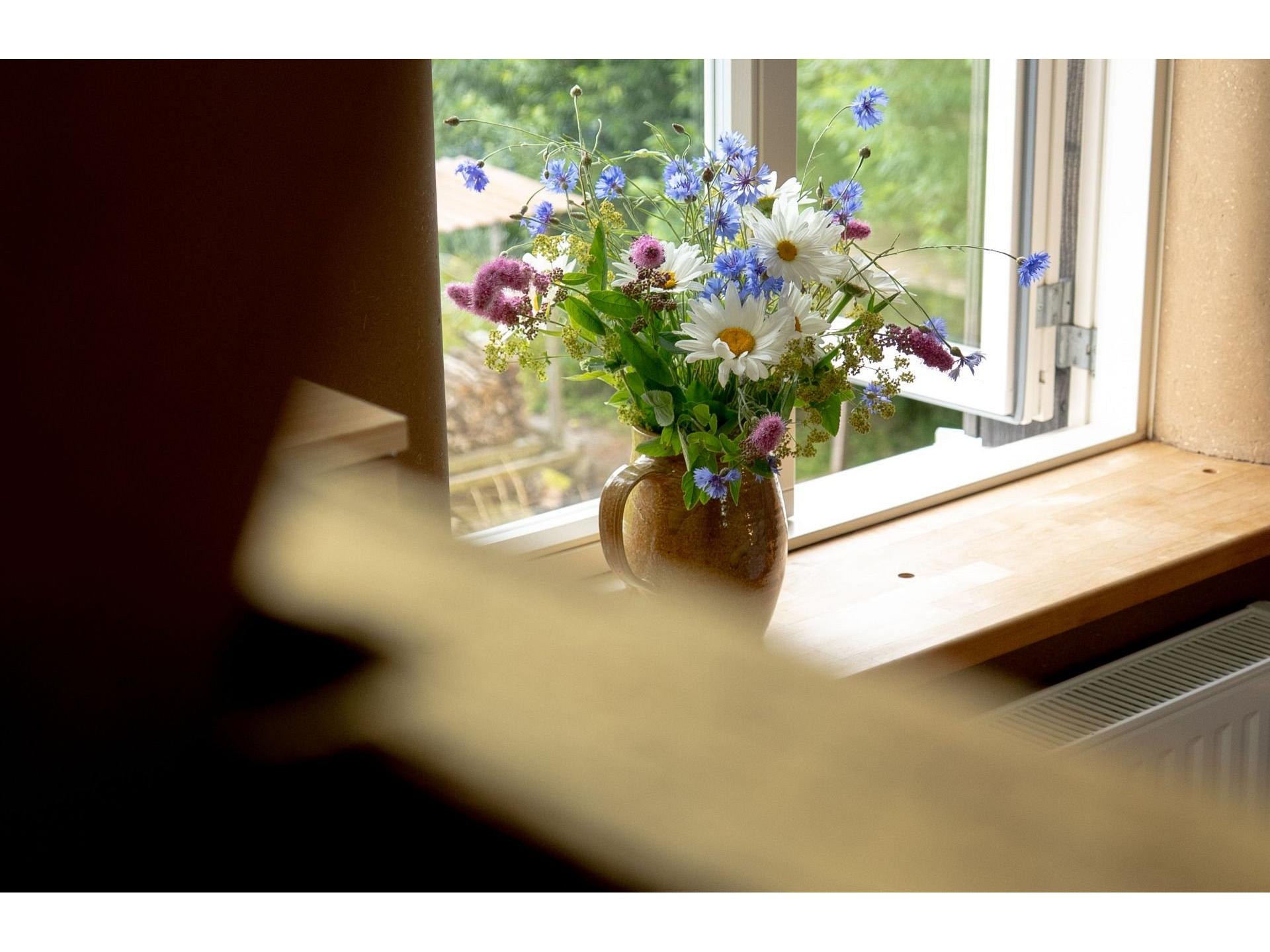 Blumen am Fenster