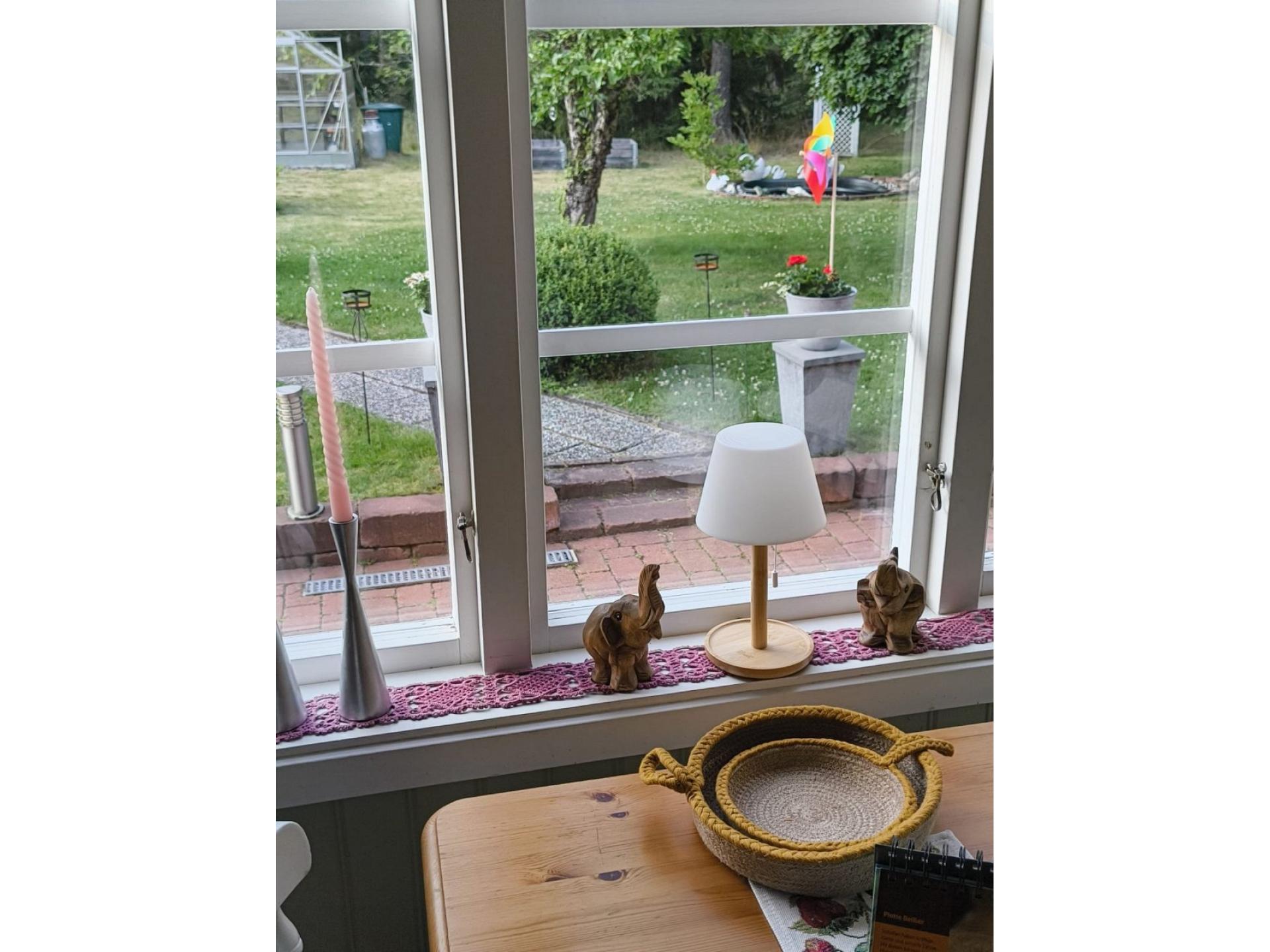 Blick in den Garten