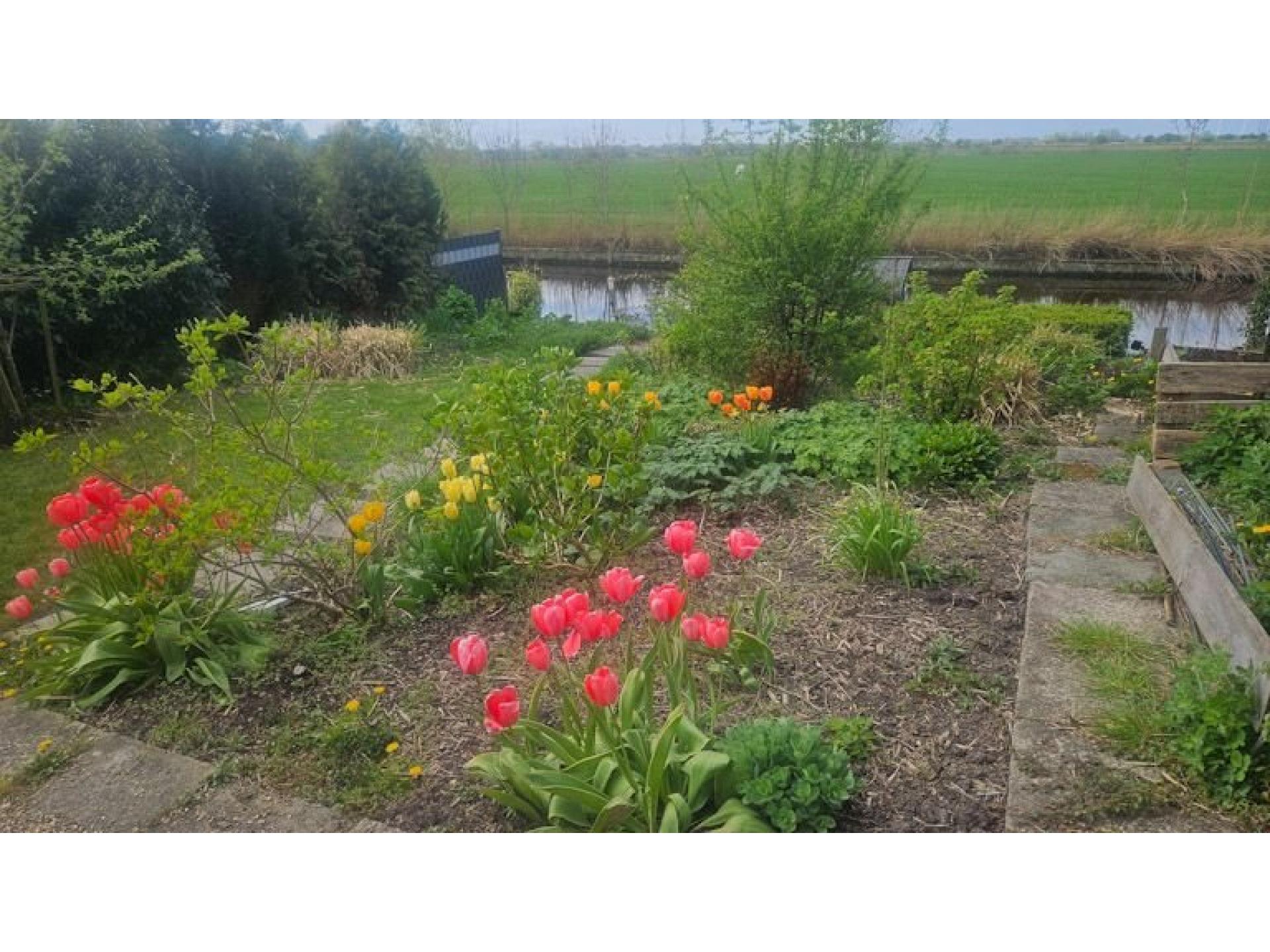 foto18