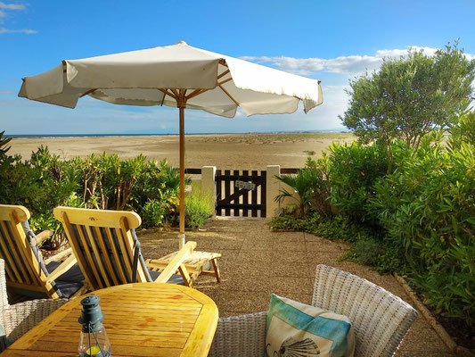 TerraTour Travel - Header