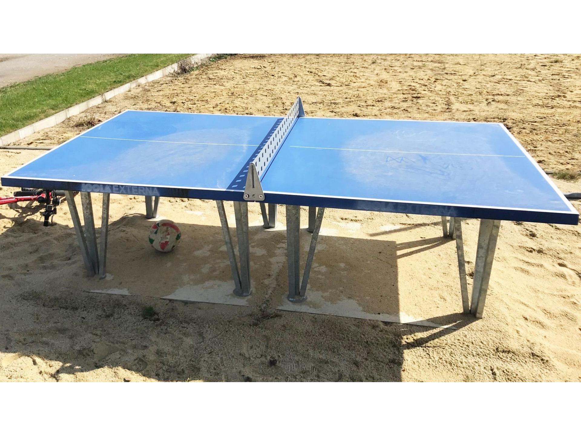 Tischtennisplatte