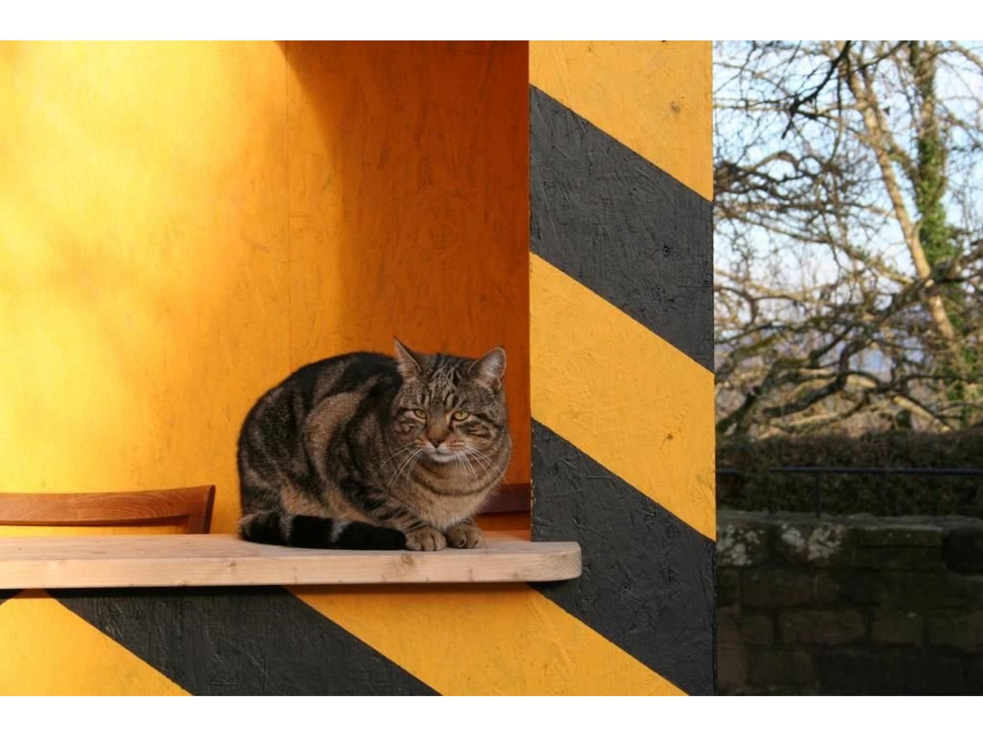 Historisches Ferienhaus "Veste Dilsberg" Foto 13