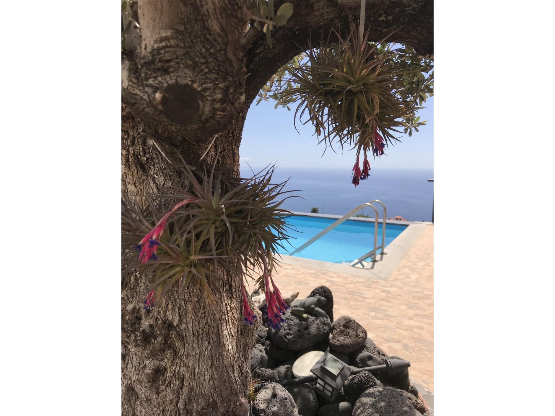 T1 Tilos DZ GOOD WLAN Foto 11