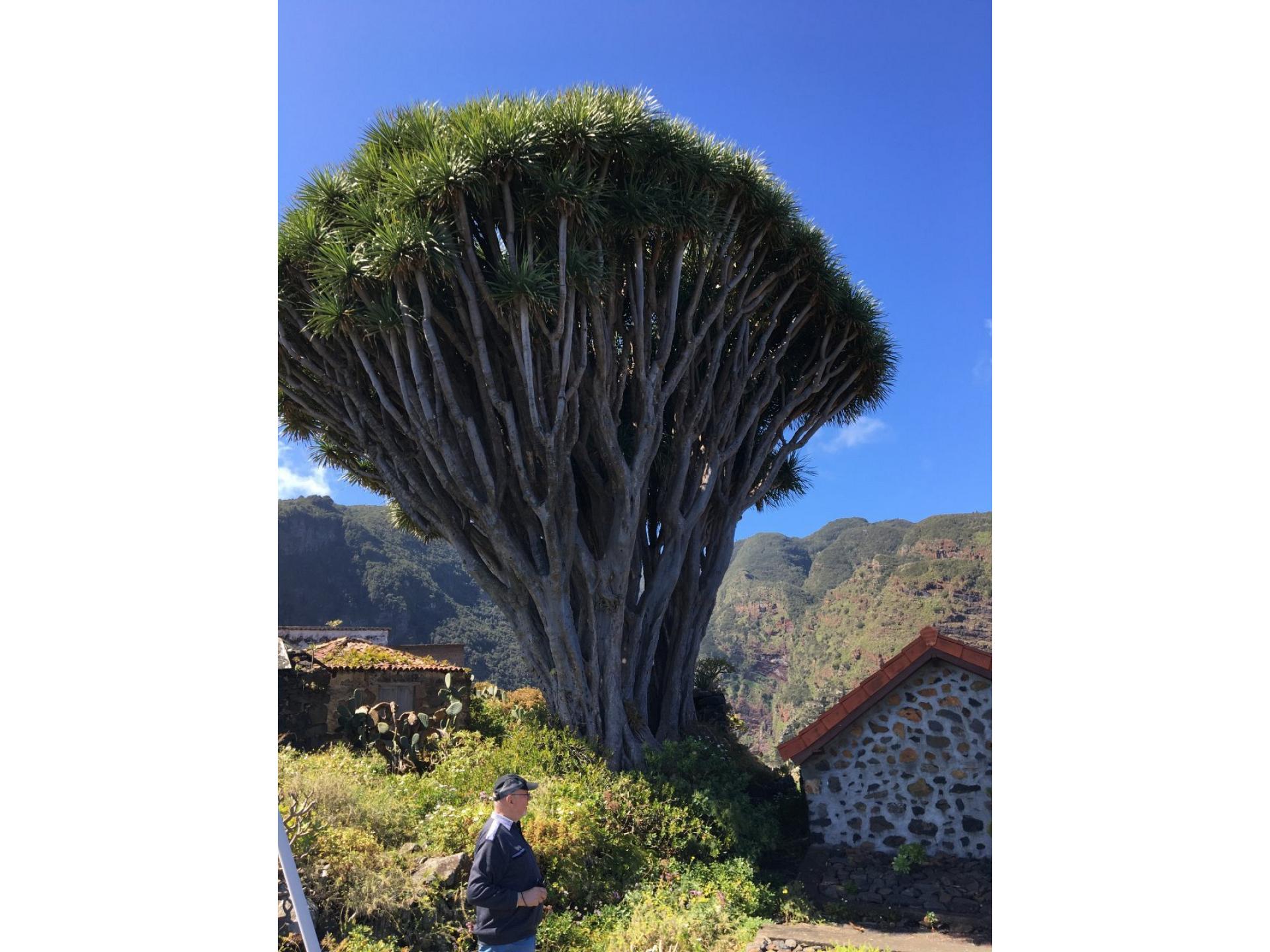 T1 Tilos DZ GOOD WLAN Foto 17