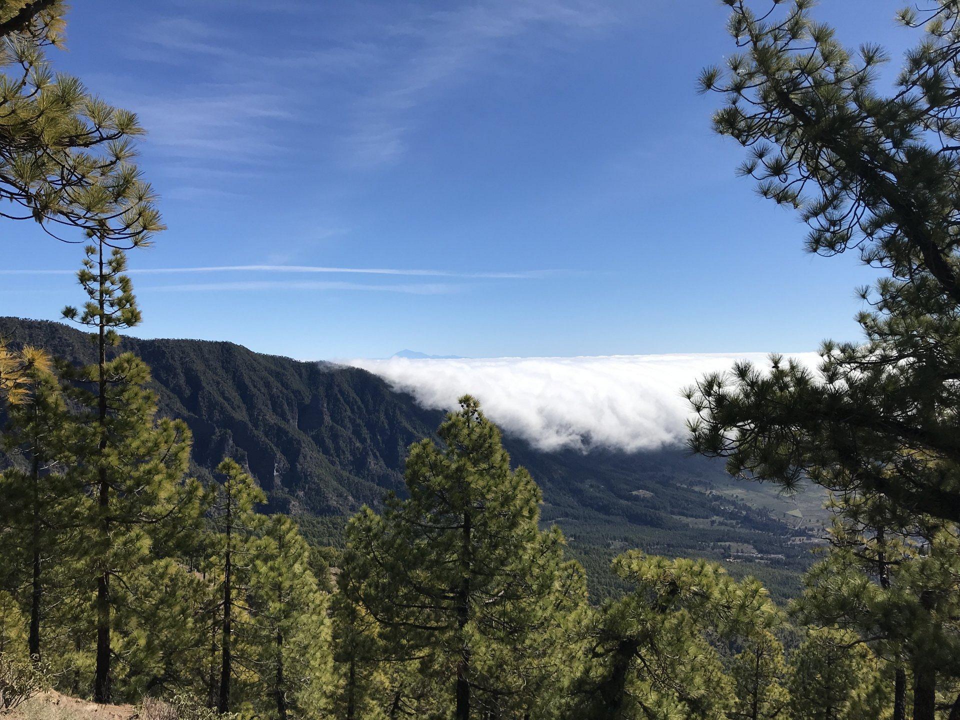 T1 Tilos DZ GOOD WLAN Foto 26