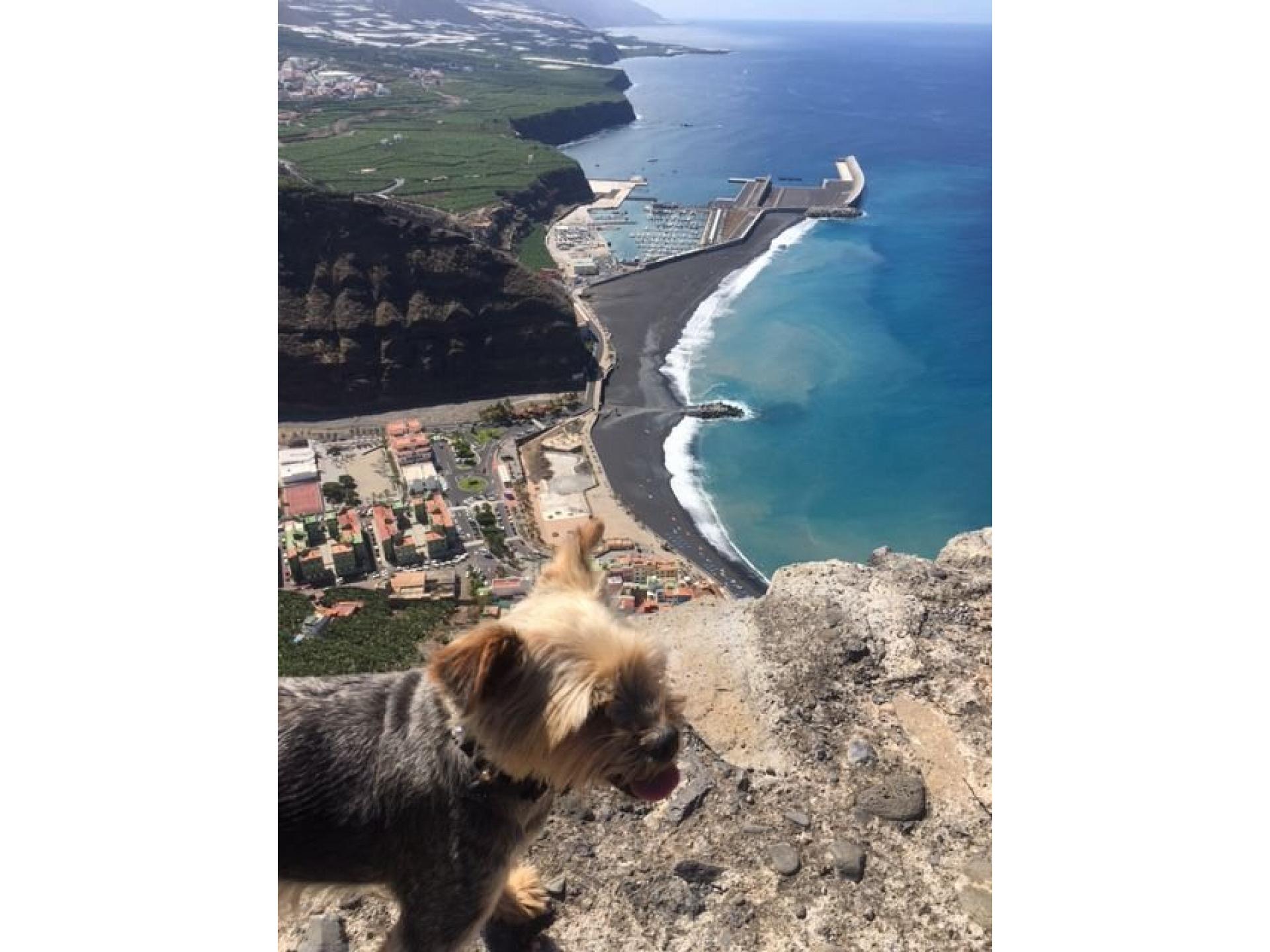 T1 Tilos DZ GOOD WLAN Foto 28