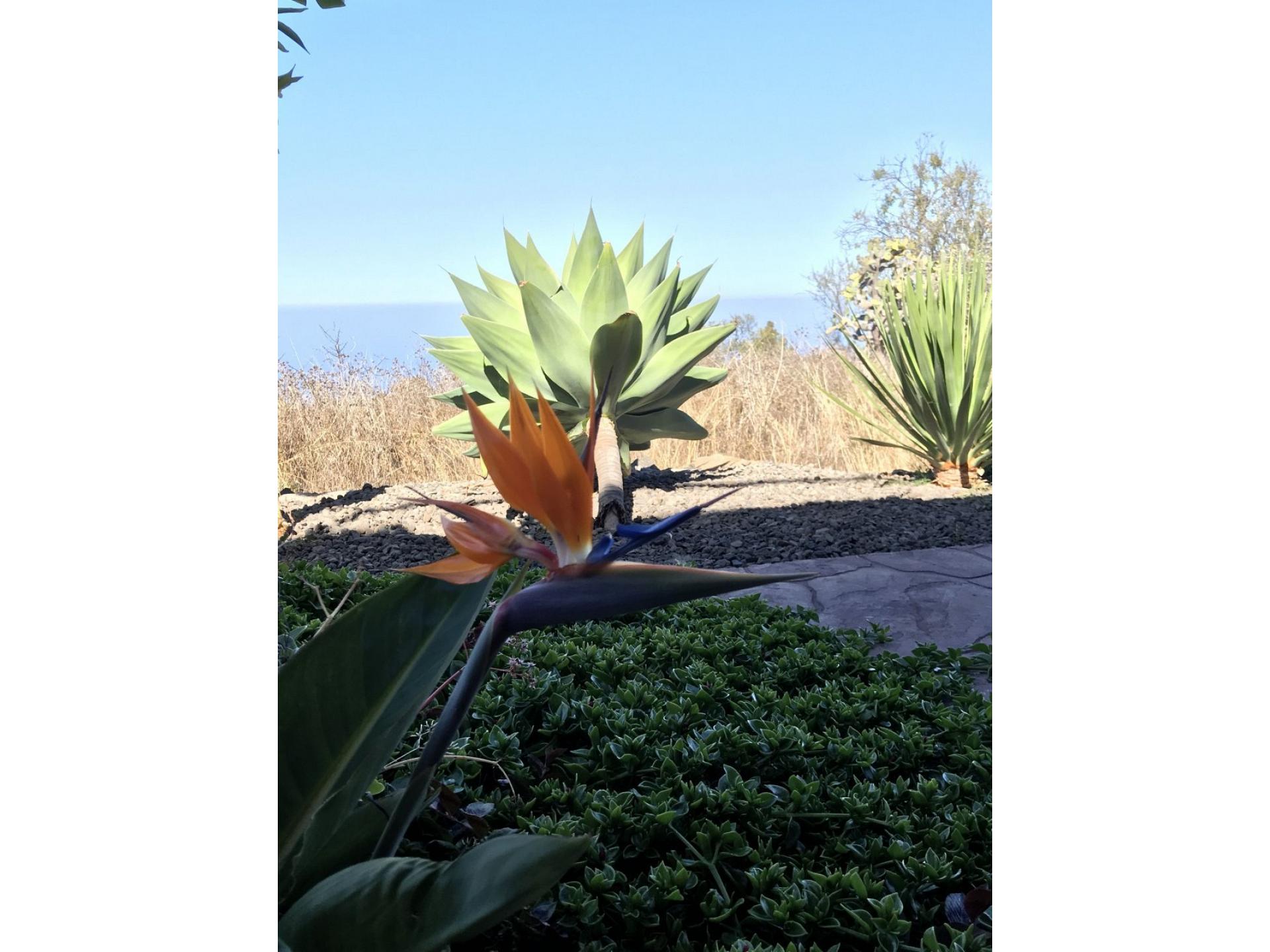 i3 Indianos DZ GOOD WLAN Foto 10