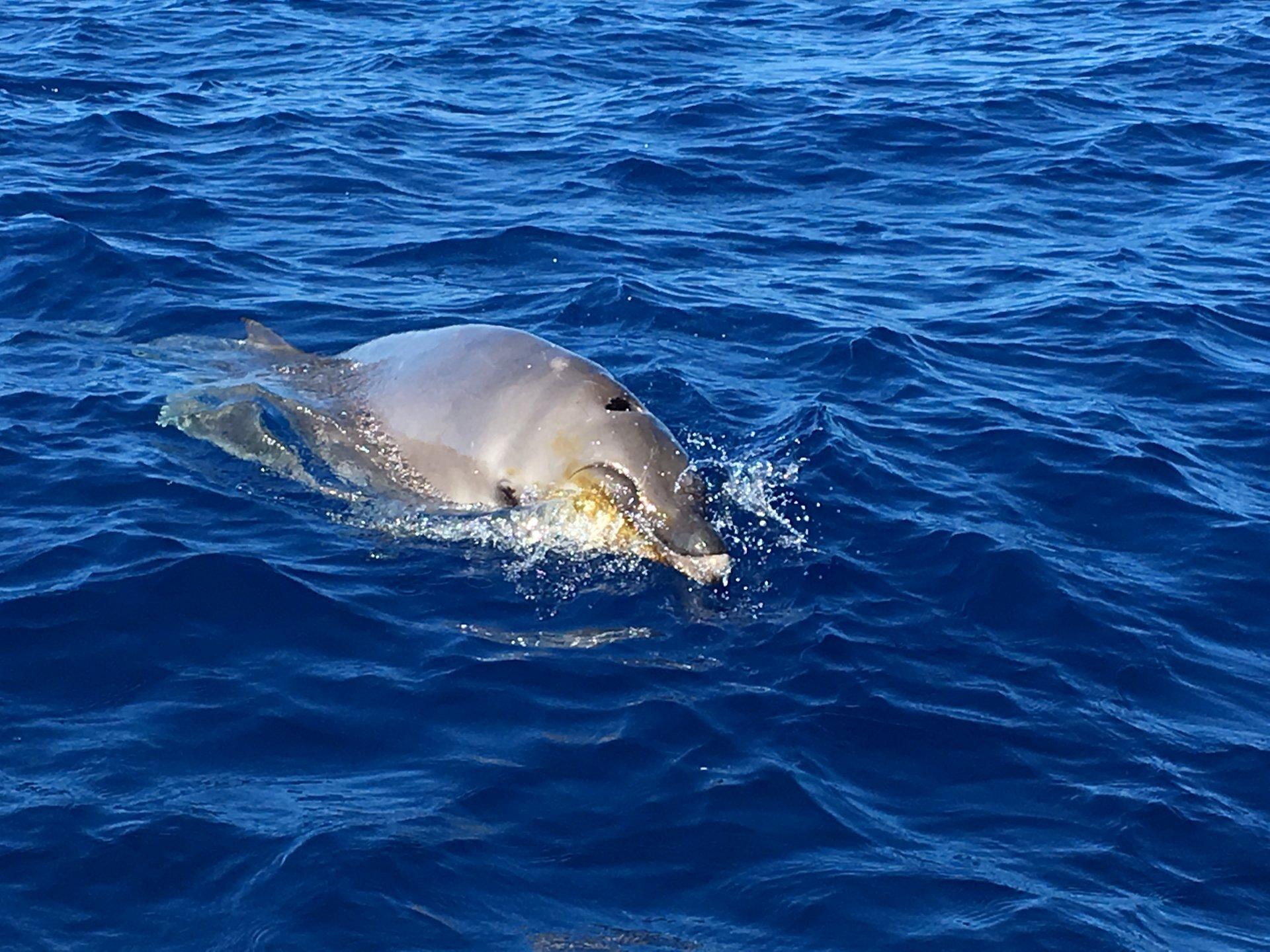 i3 Indianos DZ GOOD WLAN Foto 13