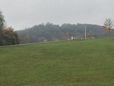 Ferienwohnung Oase der Entspannung 7/22