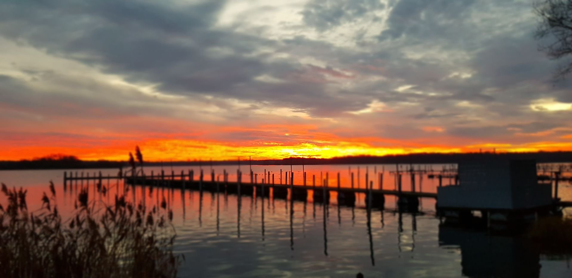 Ferienwohnung Zur Rose Foto 19