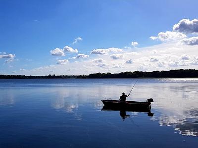 Ferienwohnung  Zur Rose
