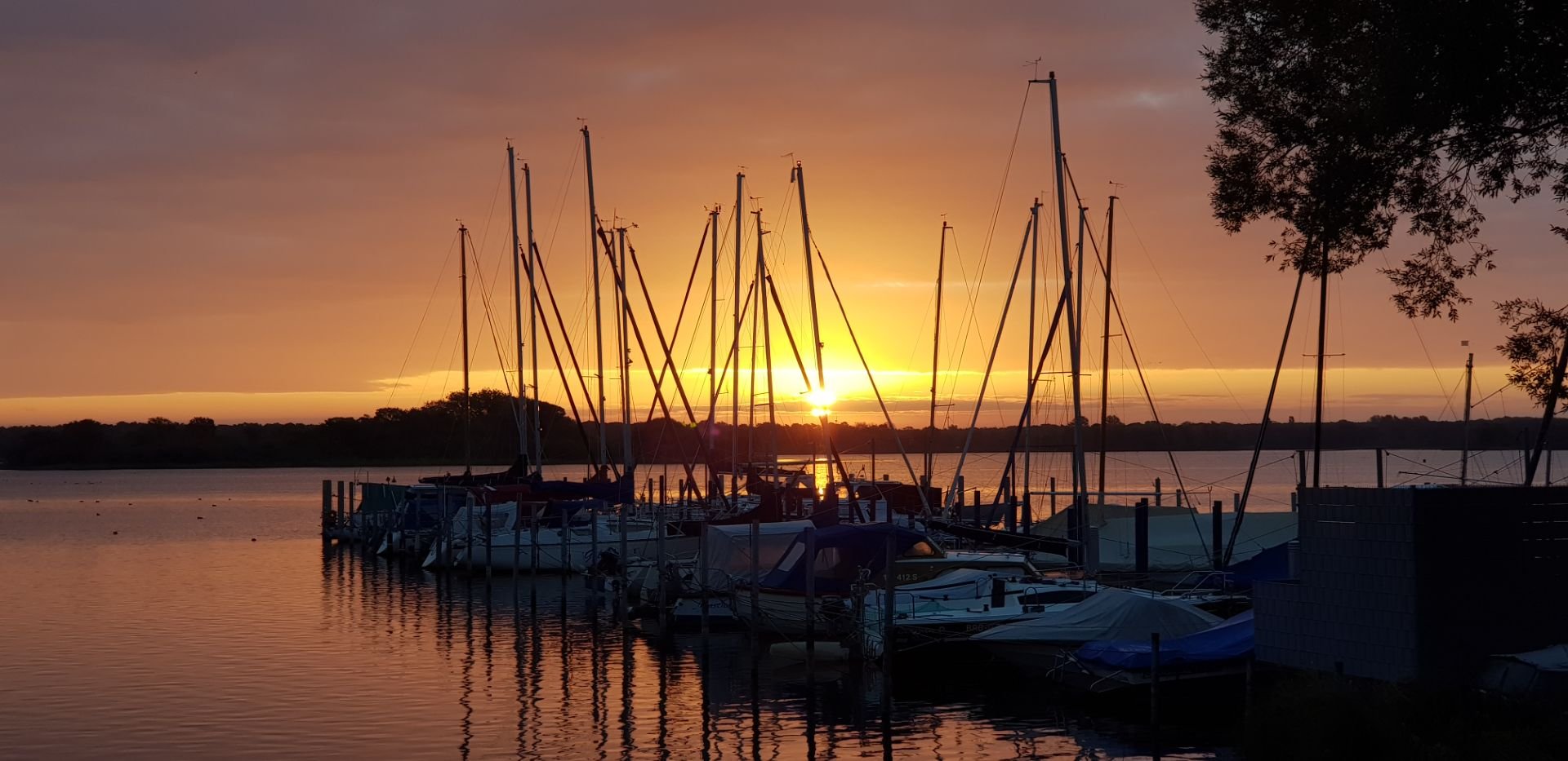Ferienwohnung Zur Rose Foto 21