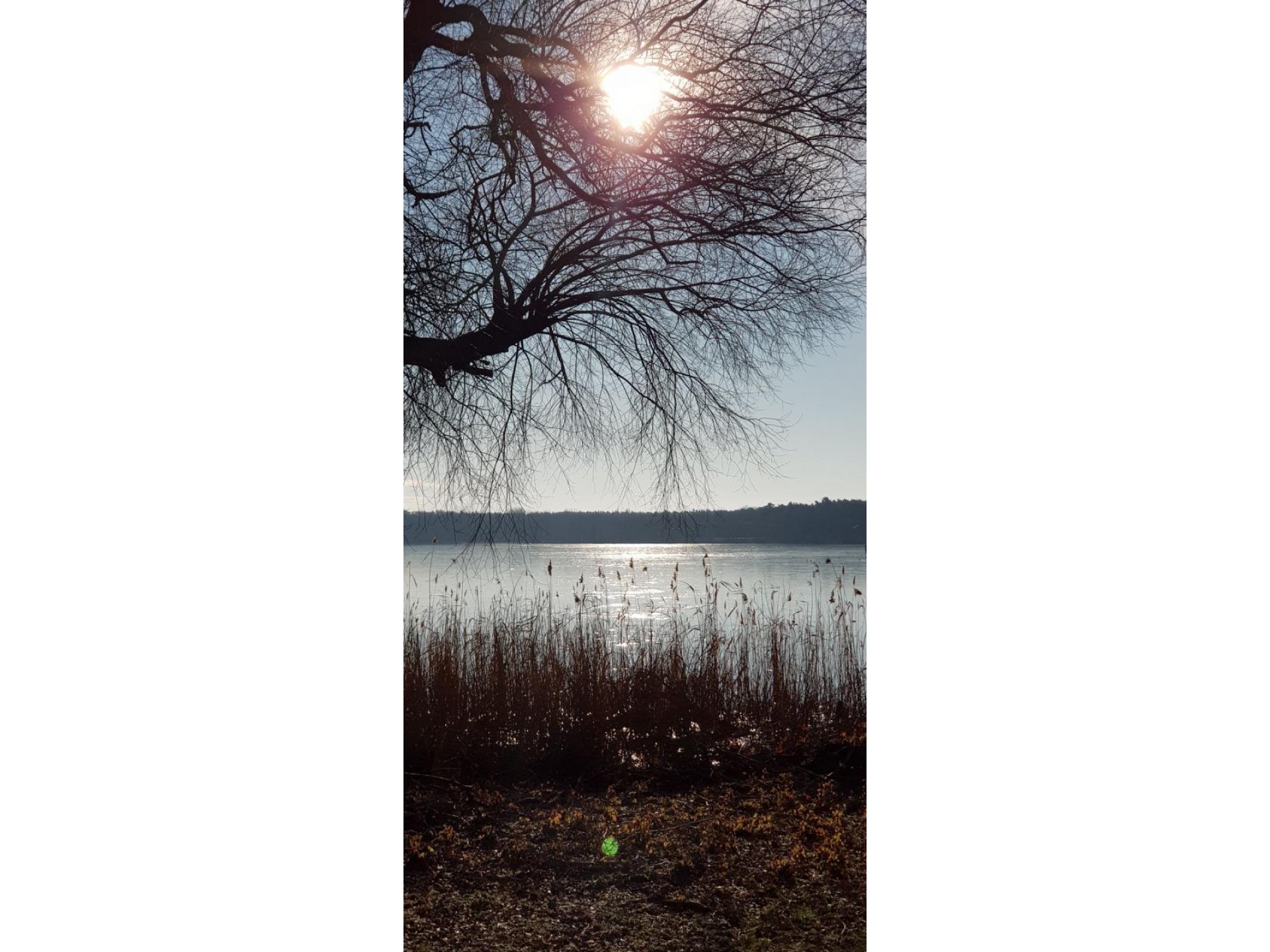 Ferienwohnung Zur Rose Foto 22