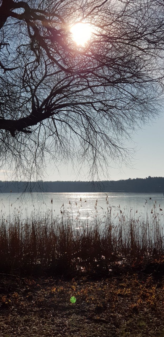 Ferienwohnung Zur Rose Foto 22