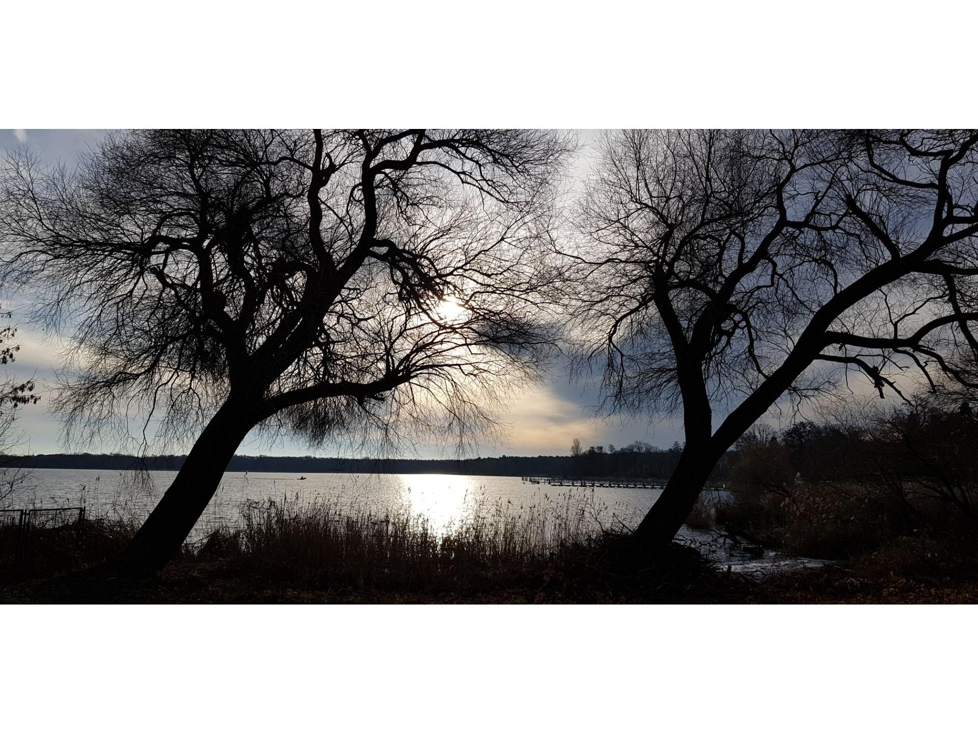 Ferienwohnung Zur Rose Foto 23