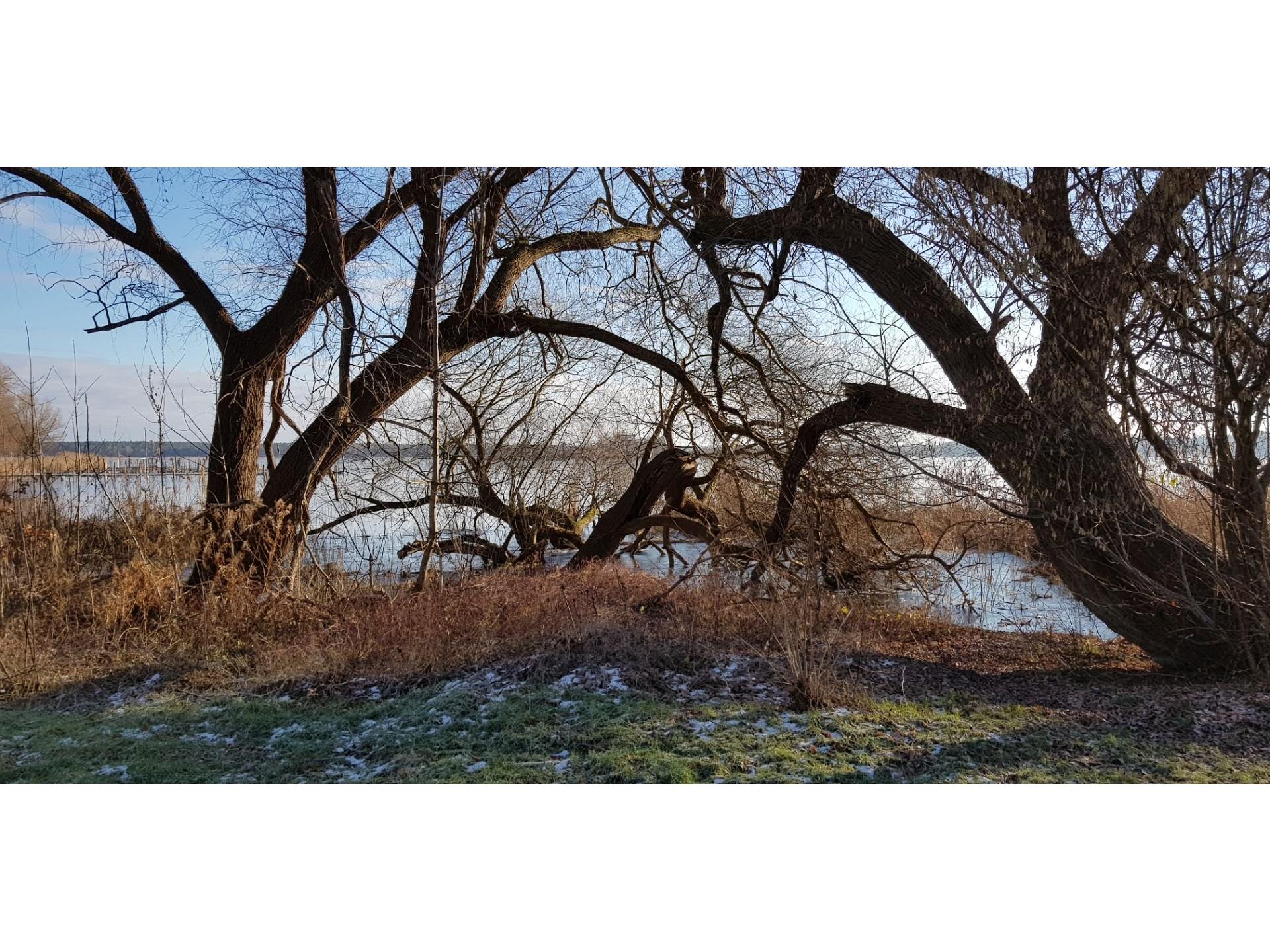Ferienwohnung Zur Rose Foto 24