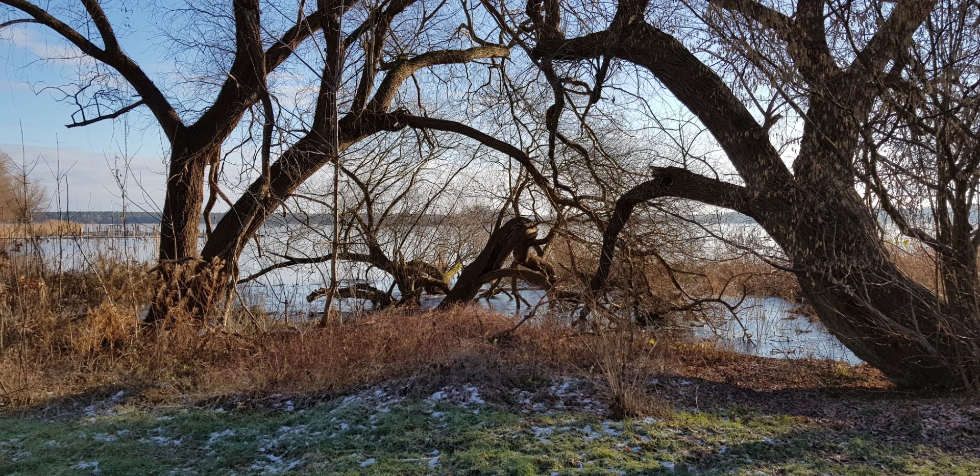 Ferienwohnung Zur Rose Foto 24