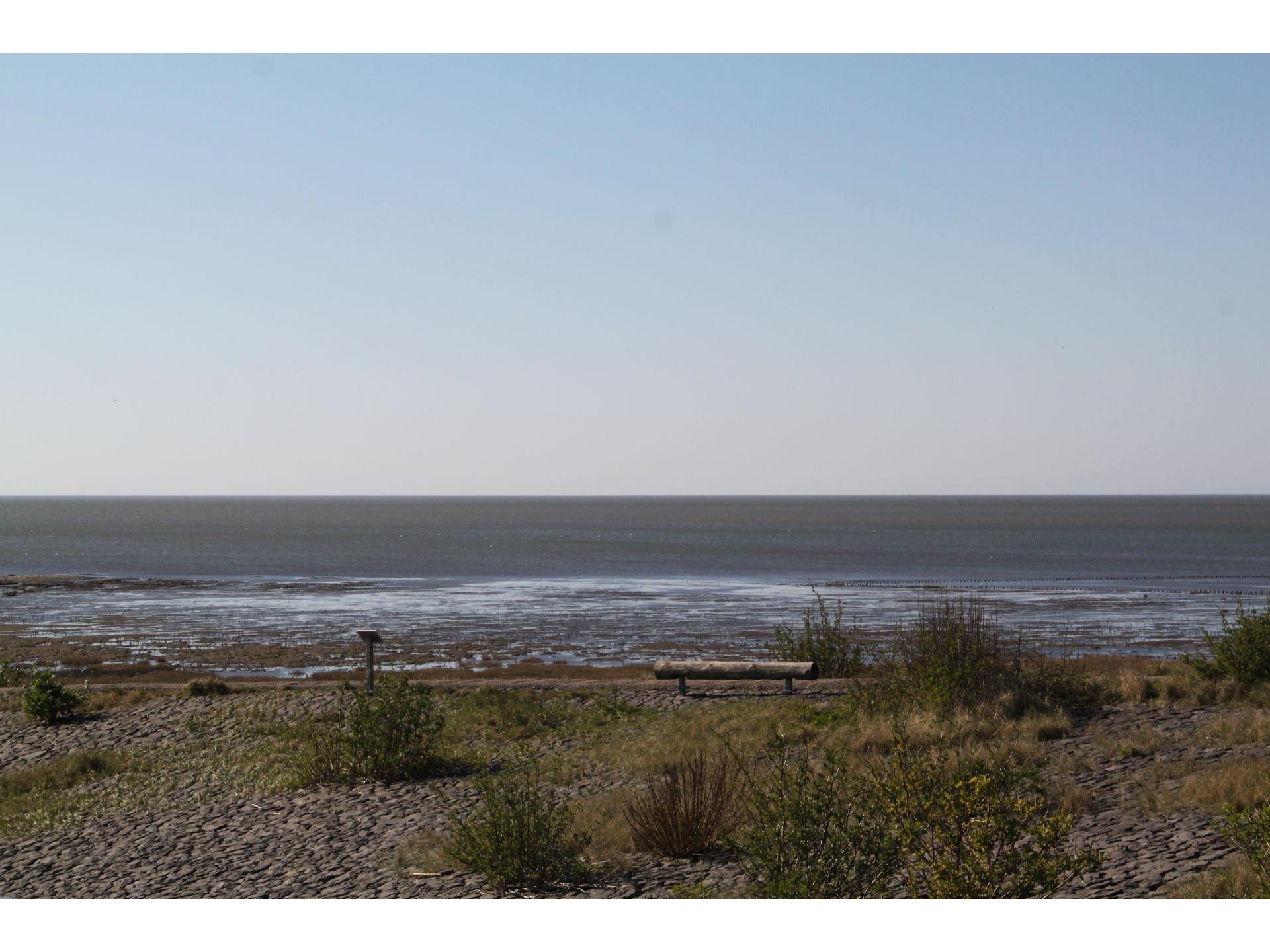 Lassen Sie die Seele baum