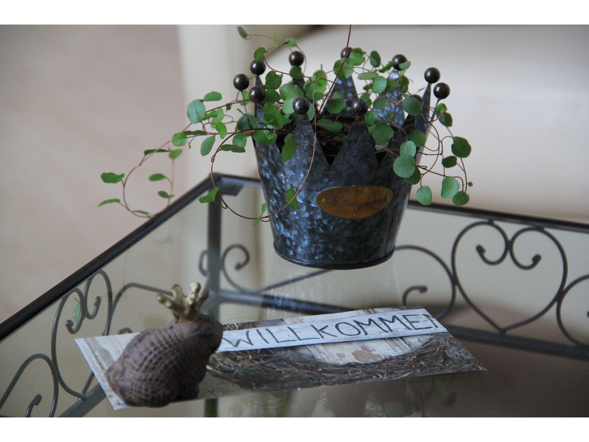 Herzlich Willkommen in de