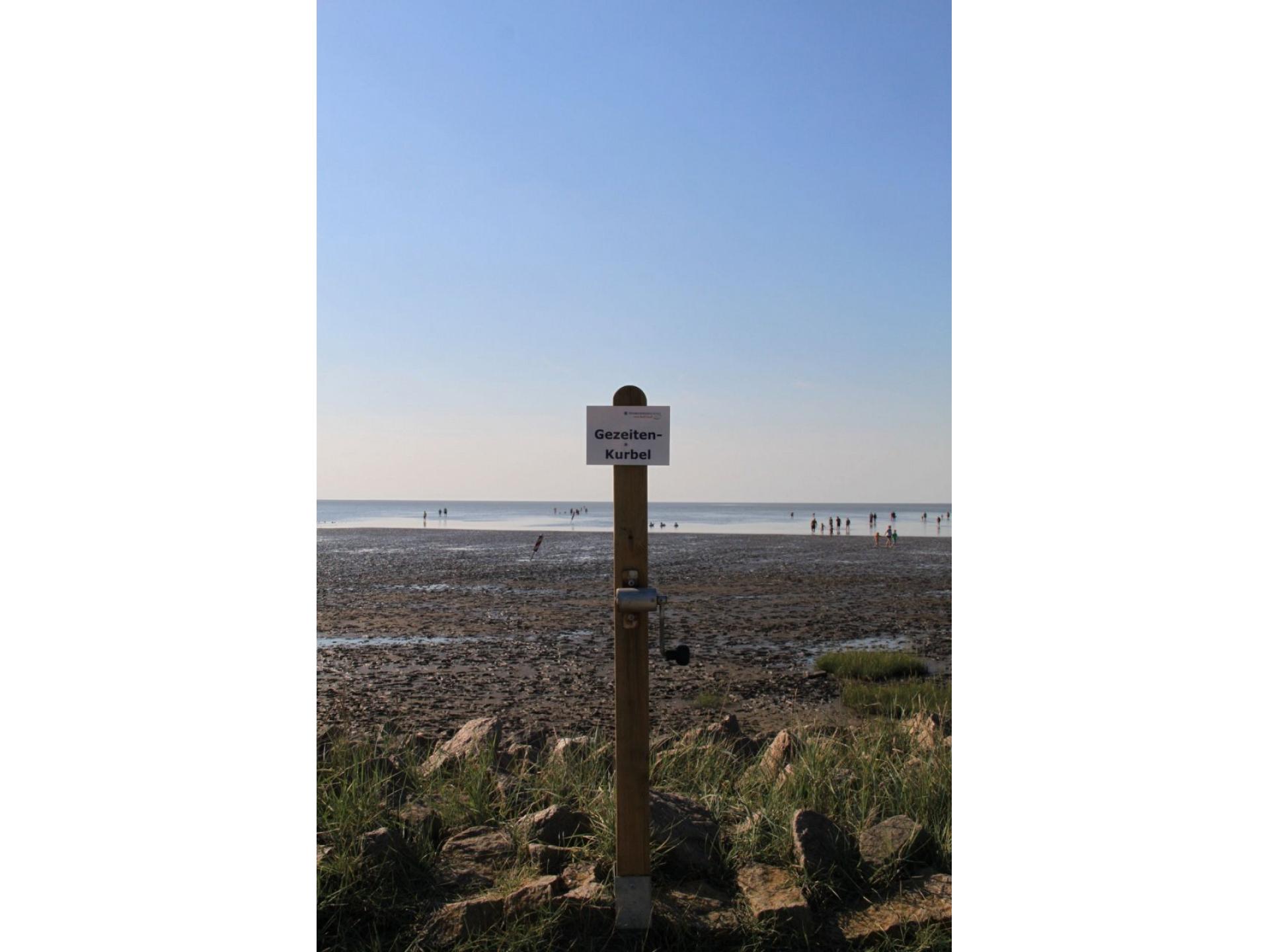 im Wechselspiel der Gezei