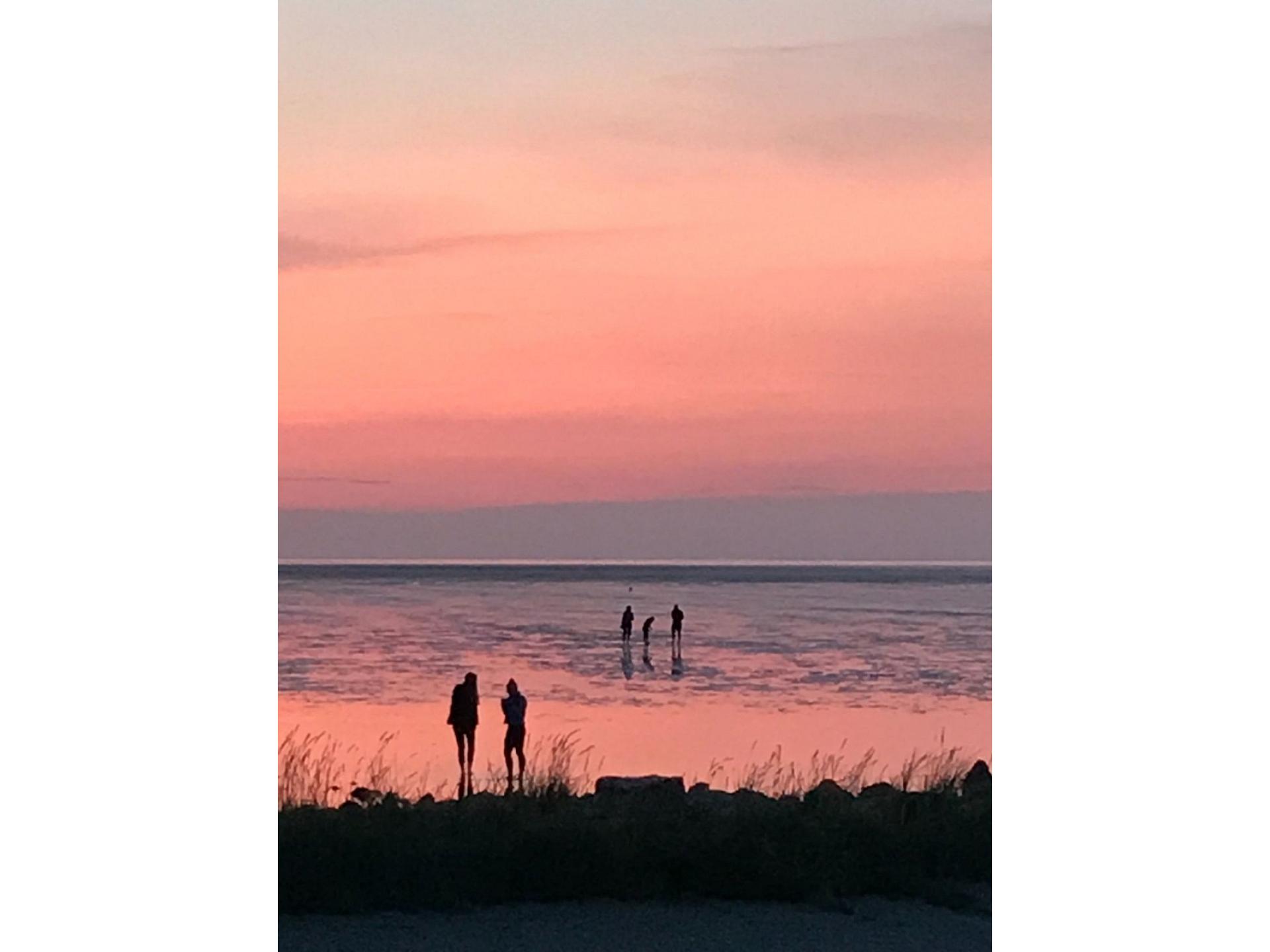 Wattwanderung - Massage f