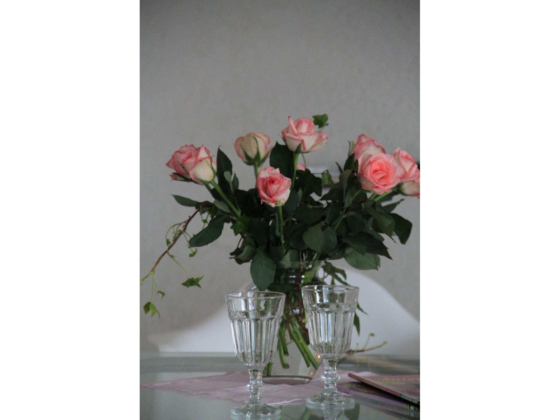 Auszeit in der Wohnung  F