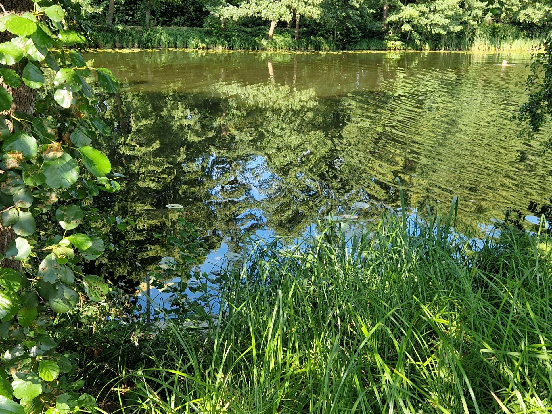 Wei&szlig;enspring Foto 14