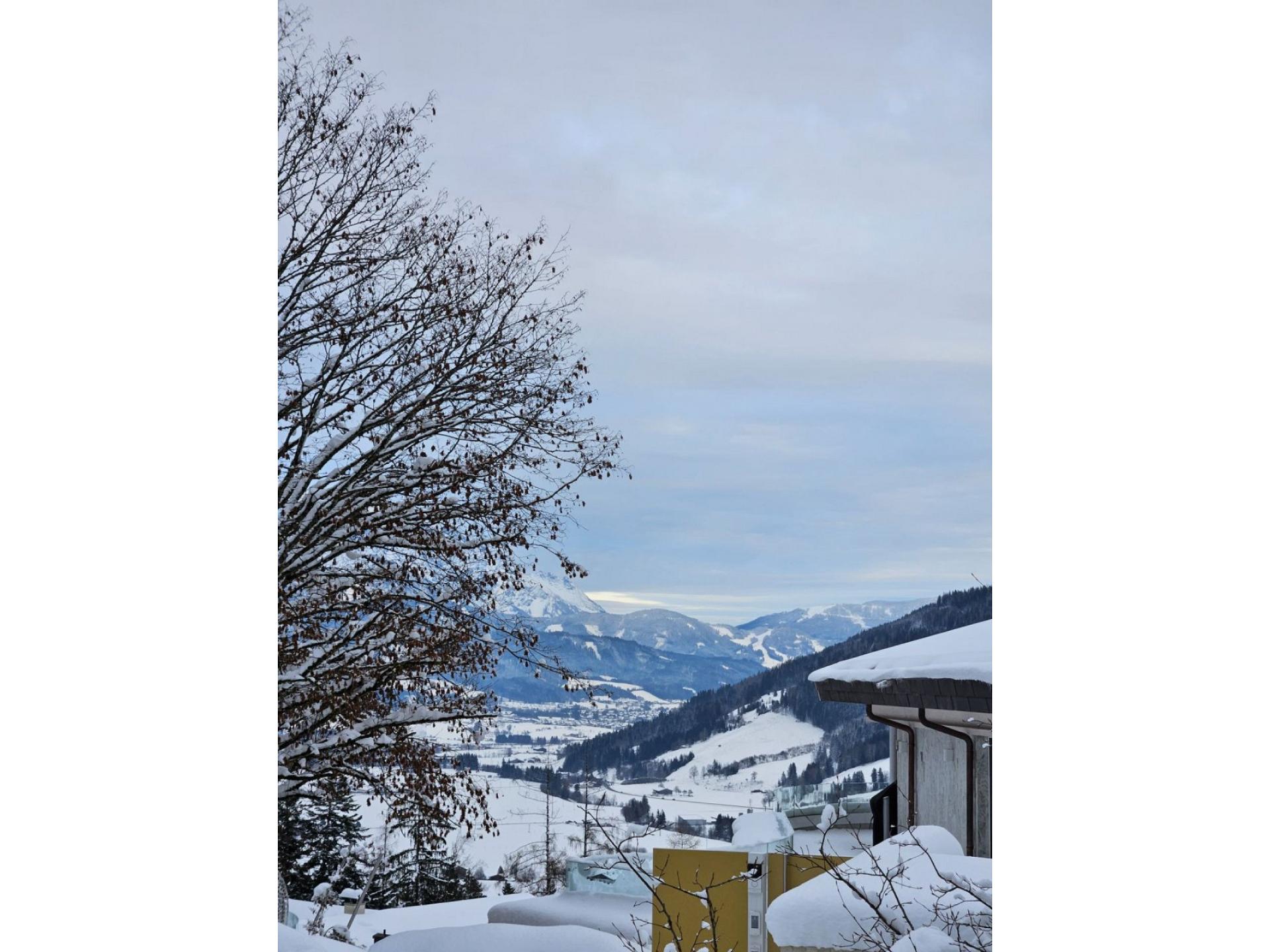 foto14