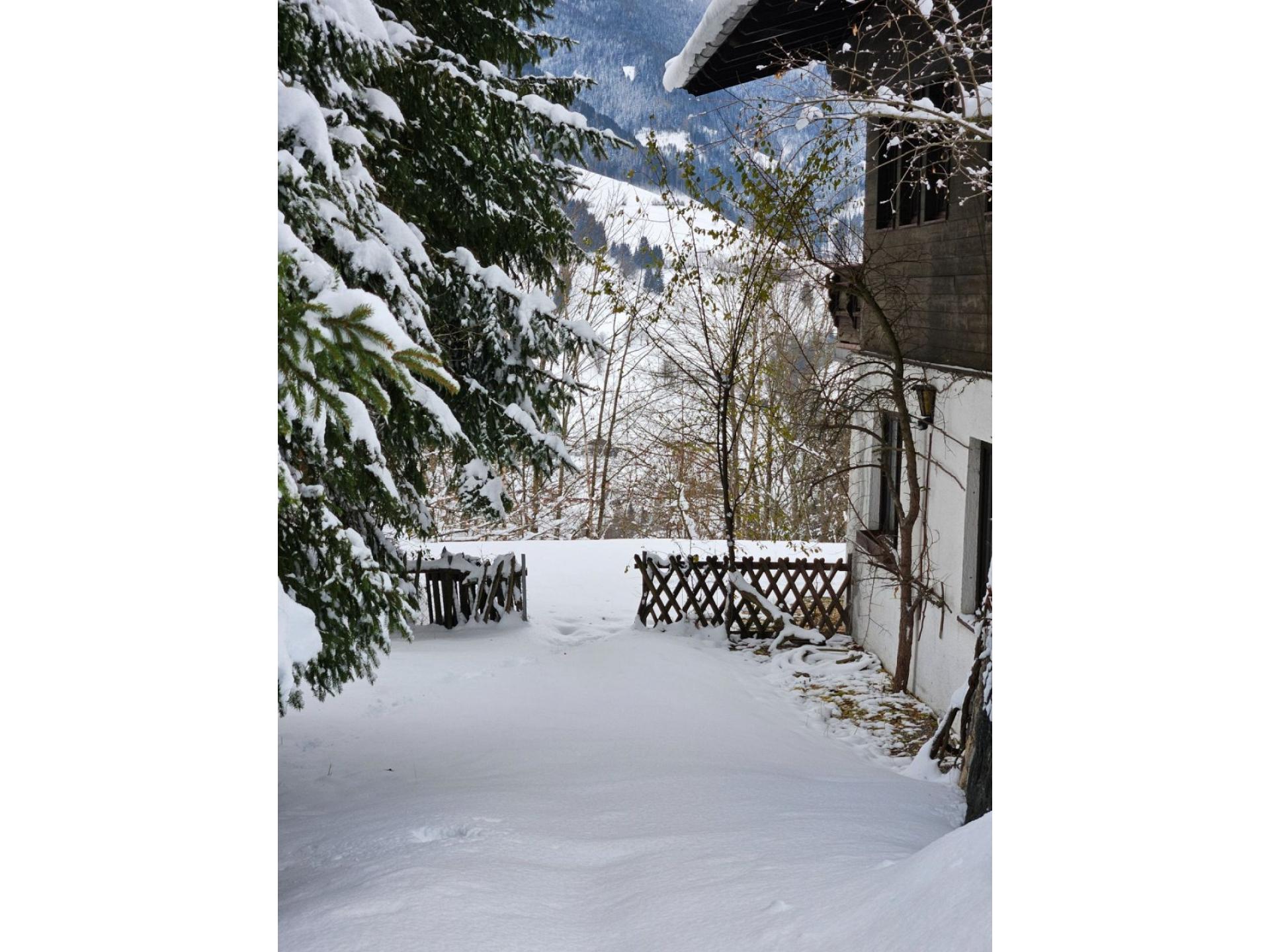 Weg zum Garten
