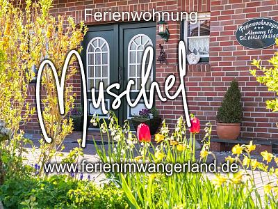 Ferienwohnung Muschel