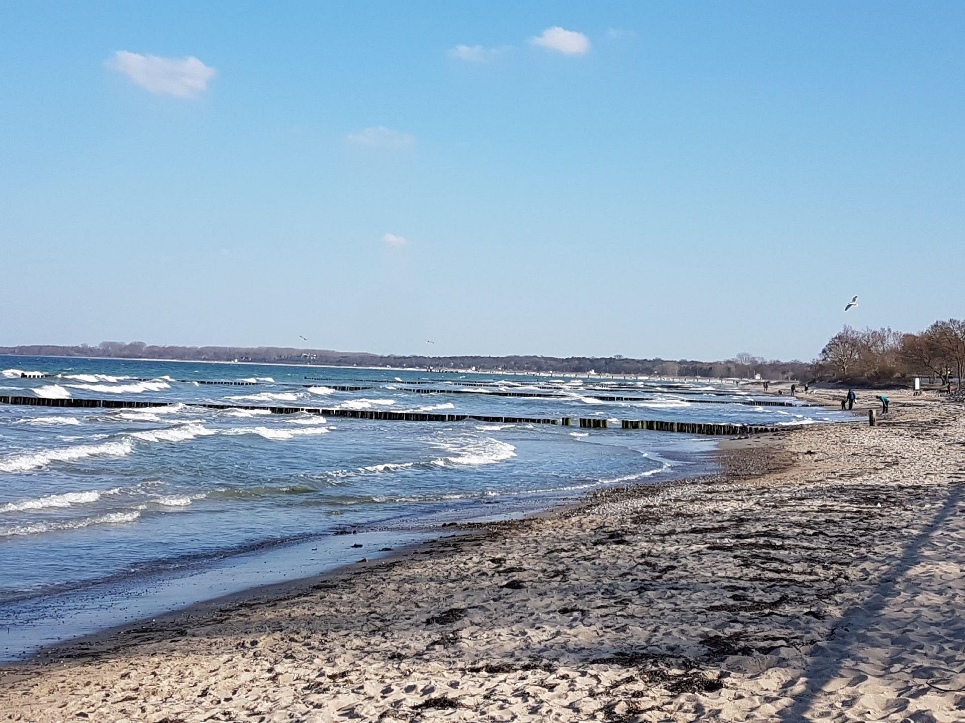 Steilkste Boltenhagen