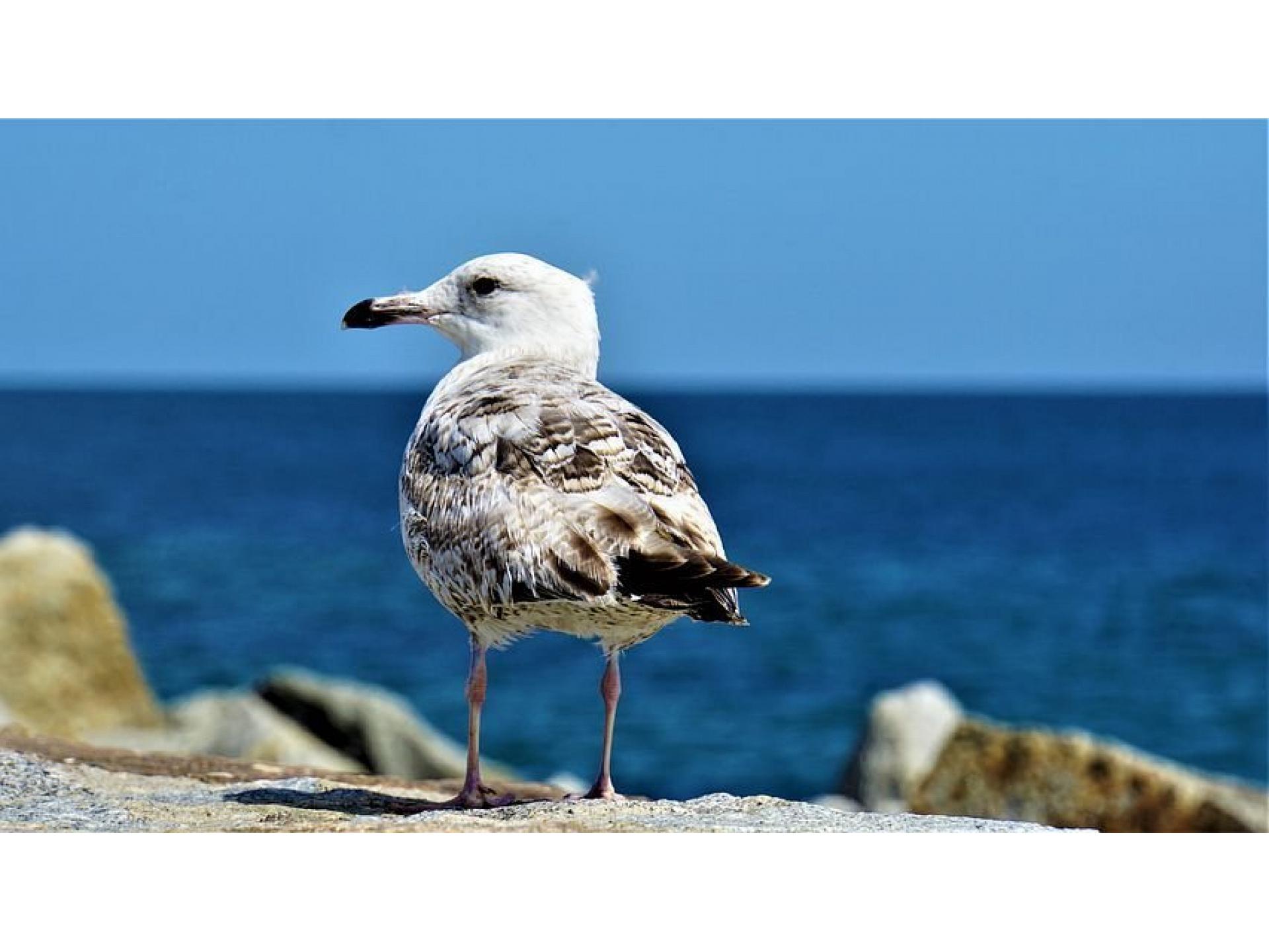 Insel Rügen