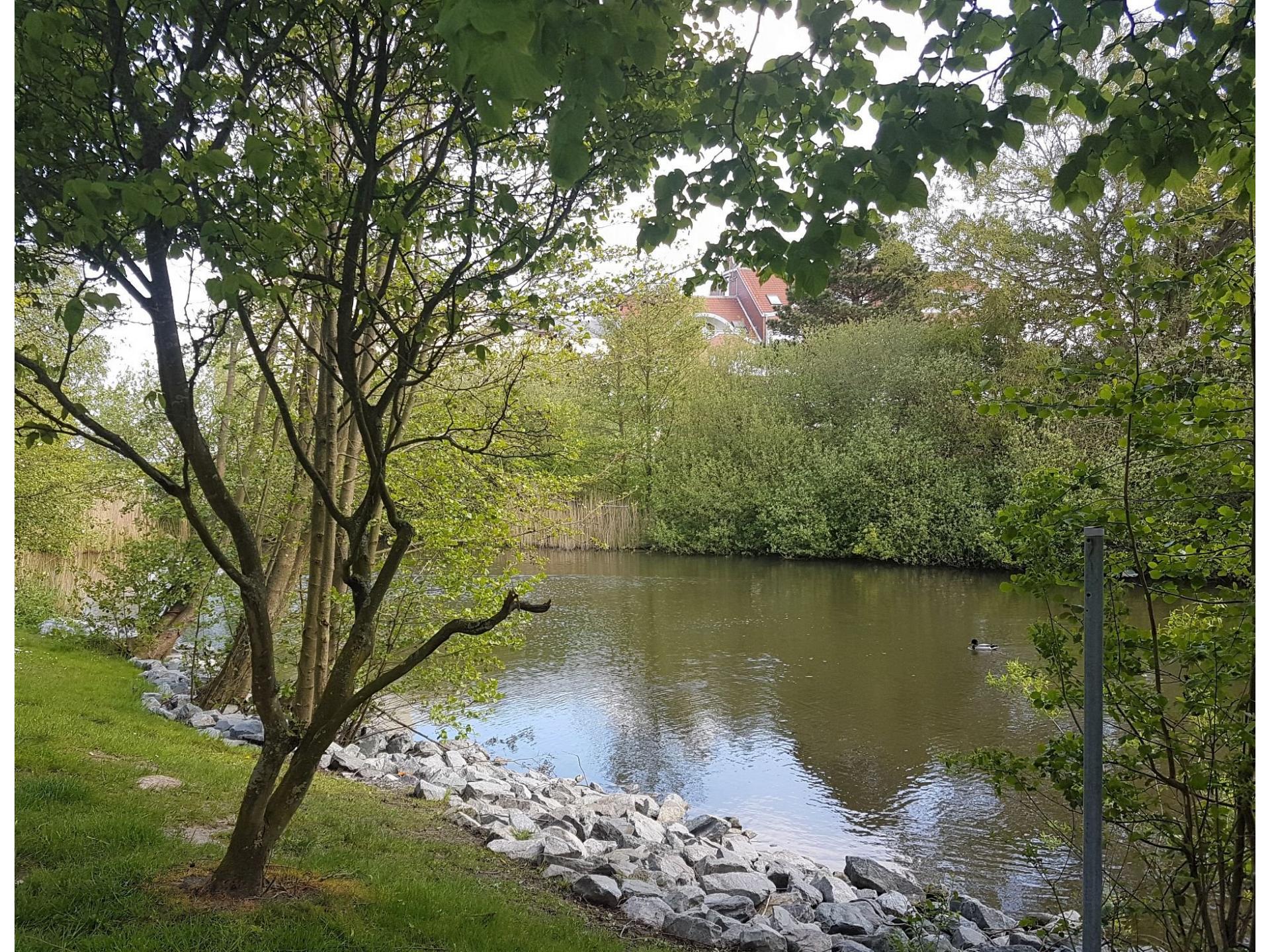 foto27