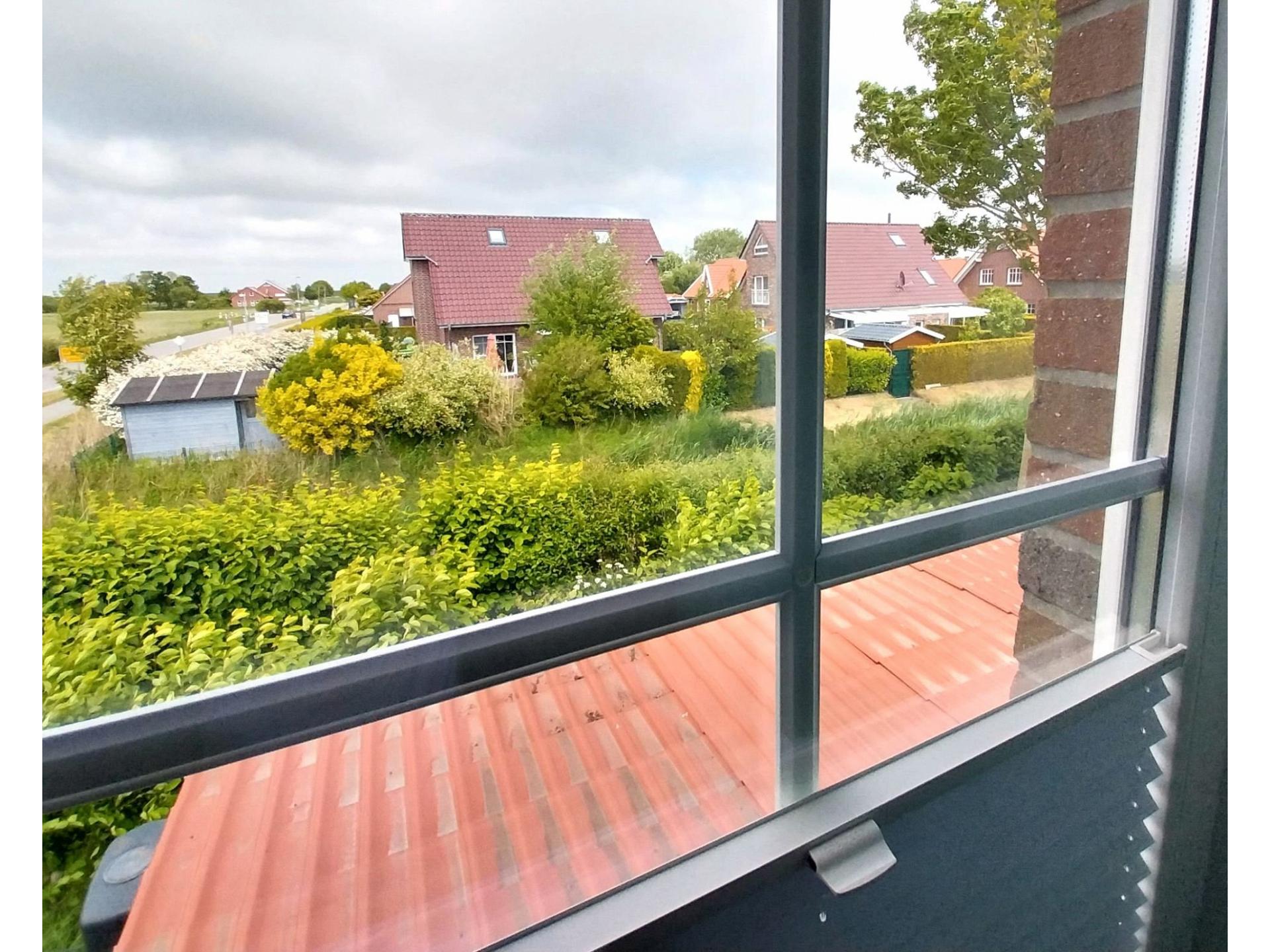 Blick aus dem Fenster