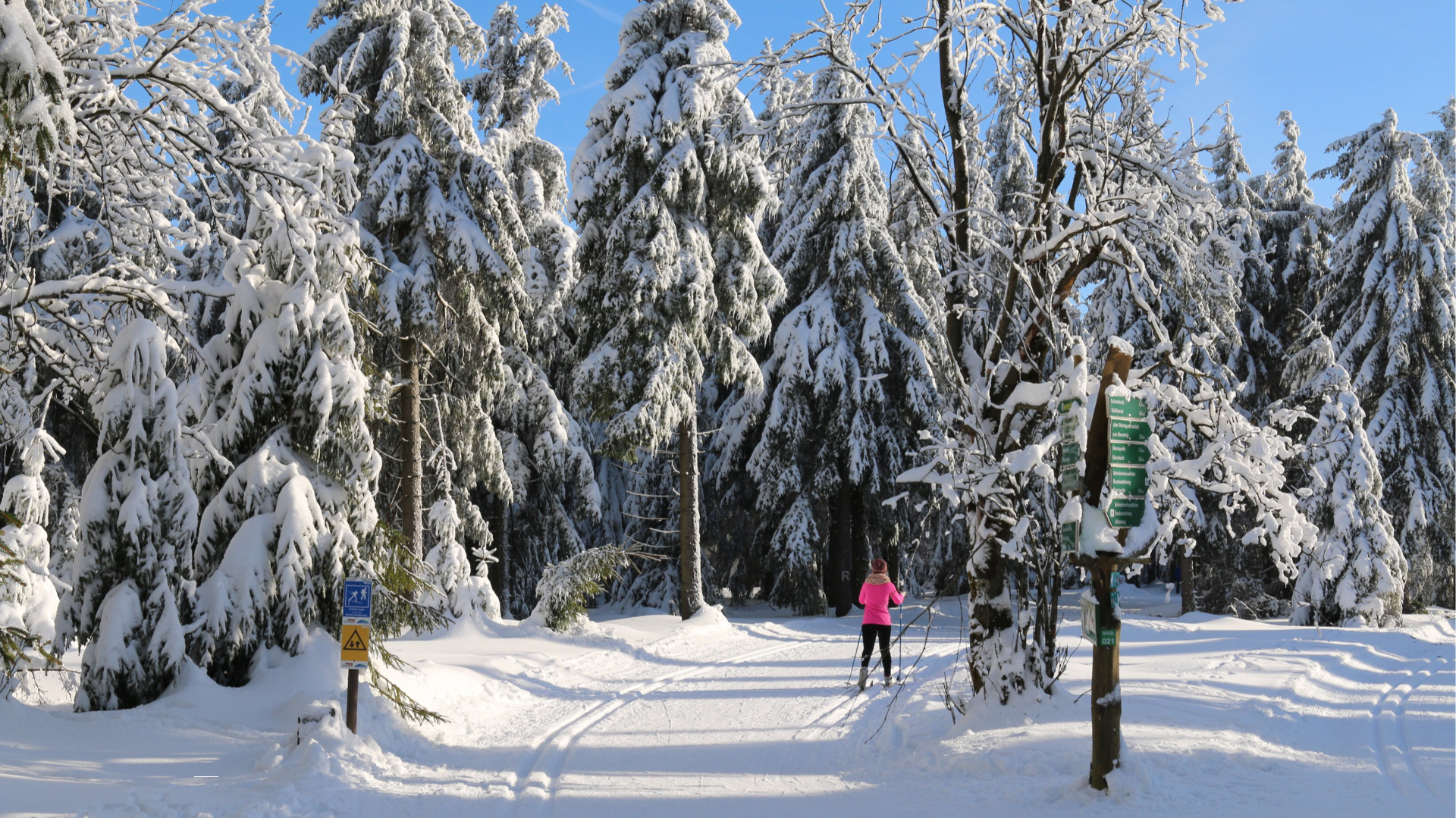bewusst natur GmbH - Header 5