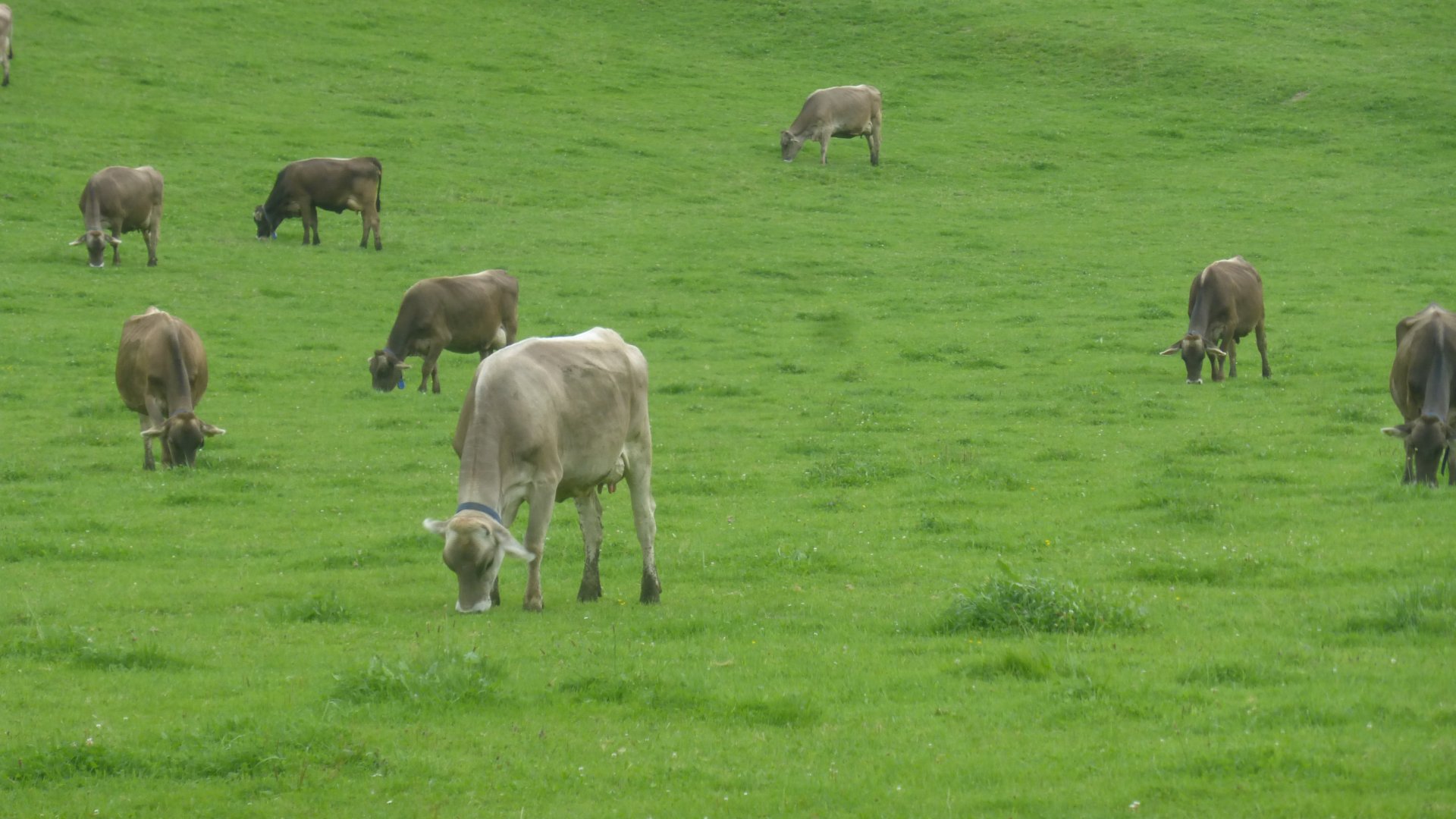Vermietung und Verpachtung - Header